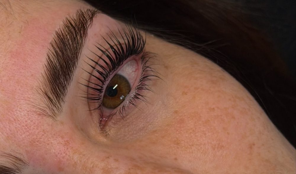 Nahaufnahme eines Auges mit aufgerichteten und getönten Wimpern nach einem Korean Lashlifting